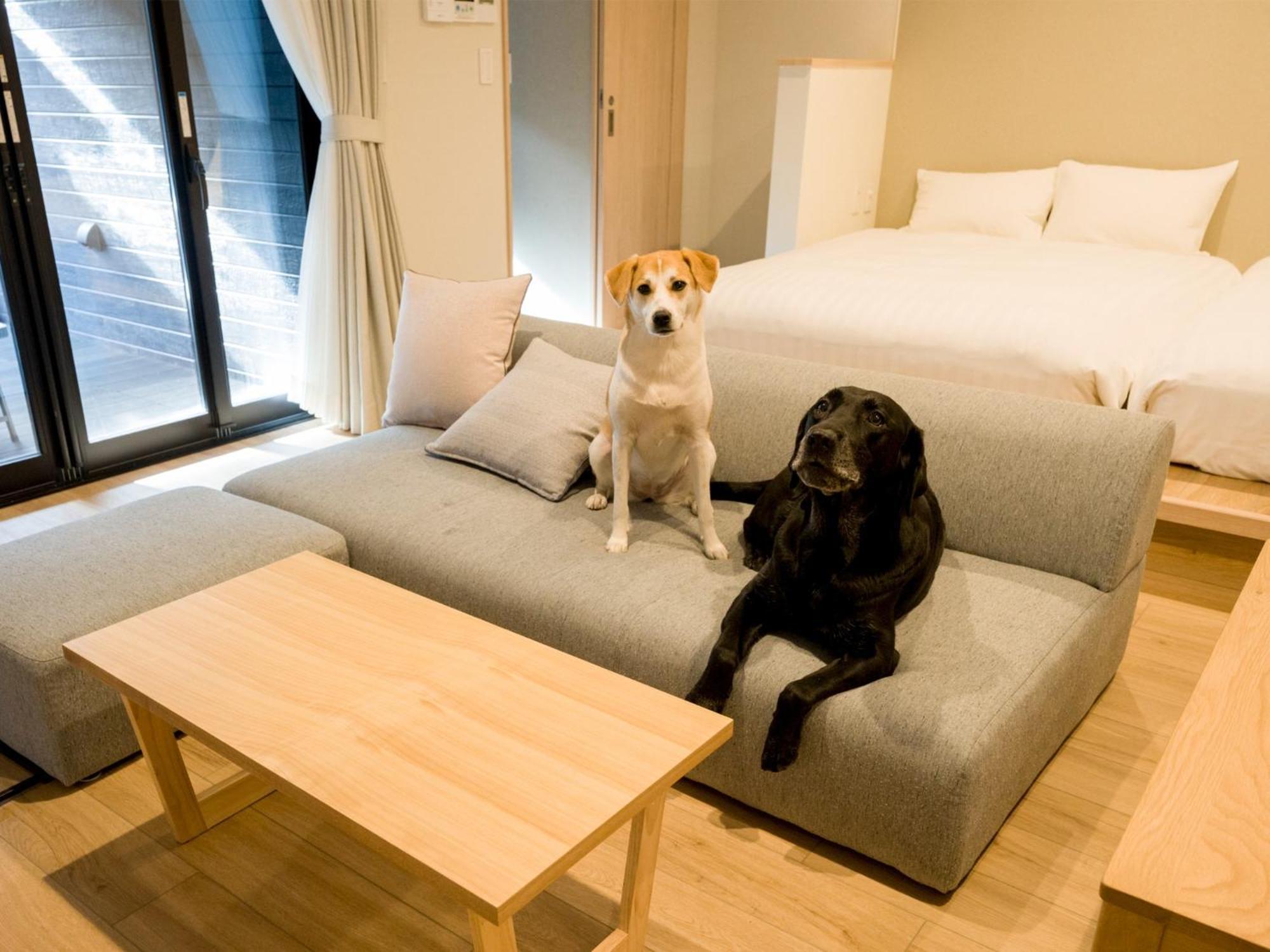 Rakuten Stay Nikko Hoden Capacity Of 8 Persons ภายนอก รูปภาพ